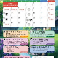 ブログ画像