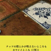 ブログ画像